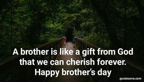 Top 999 Brothers Day Wishes Images Amazing Collection Brothers Day Wishes Images Full 4k