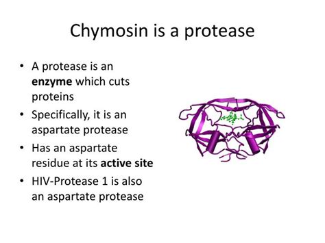 PPT - Chymosin Lab PowerPoint Presentation - ID:484941