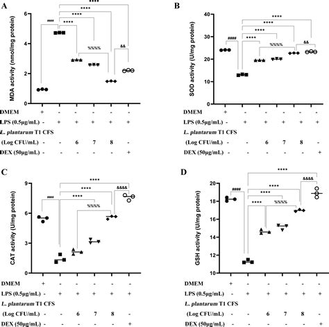 Anti Inflammatory Effect Of Lactiplantibacillus Plantarum T1 Cell Free