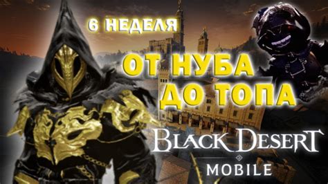 Black Desert Mobile Дневник Chikipo Шестая неделя От нуба до