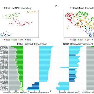 Characterization Of Molecular Subtypes Of High Grade Serous Ovarian