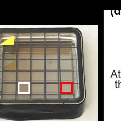 A Photograph Of Graphene Transferred Onto SiO2 Si Substrate Red