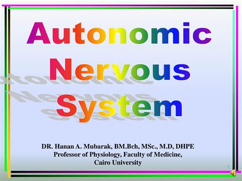 Solution Physiology Autonomic Nervous System 3 Studypool