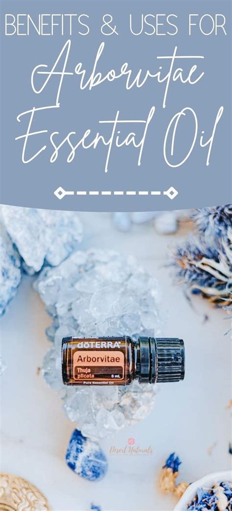 30 Ways To Use Arborvitae Essential Oil Diffuser Blends Diy Recipes