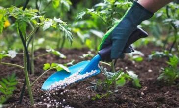 Curso De Agricultura Gratis Y Certificado