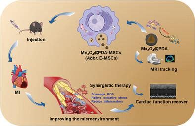 Antioxidant Nanozyme Engineered Mesenchymal Stem Cells For In Vivo MRI