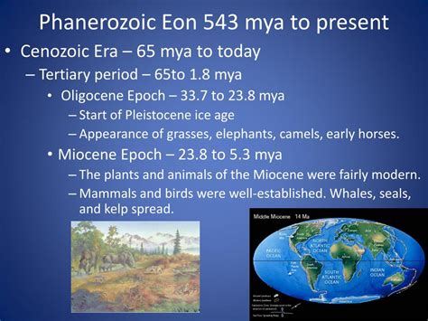 PPT The History Of Life On Earth PowerPoint Presentation Free