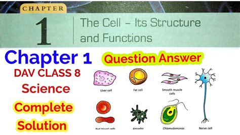 Dav Class Science Chapter The Cell Its Structure And Functions