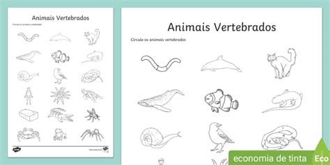 Atividade Para Identificar Animais Vertebrados Ou Invertebrados