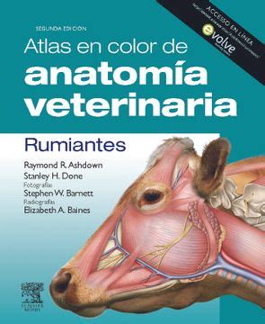 Libro Atlas En Color De Anatomia Veterinaria Rumiantes Ed De R