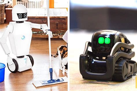 Maak Kennis Met De Handige Robot Voor In Huis