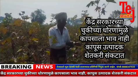 केंद्र सरकारच्या चुकीच्या धोरणामुळे कापसाला भाव नाही कापूस उत्पादक शेतकरी संकटात Youtube