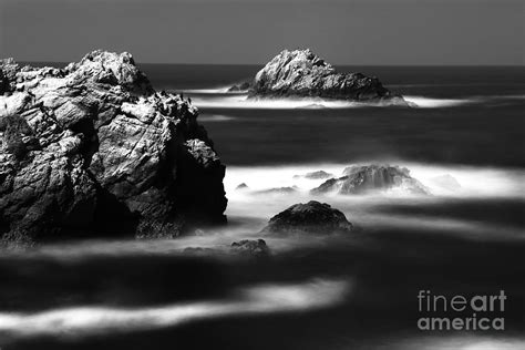 Birds Island Photograph By Chris Apablaza Fine Art America