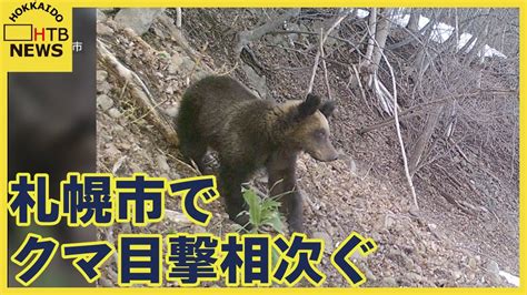 「道路を横切る姿」札幌市内でクマの目撃相次ぐ 小学校では見守りの登下校も 市などが警戒呼びかけ Youtube