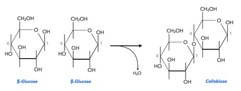 Weitere Disaccharide