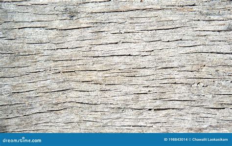 Cracked Wood Texture Background Stock Photo Image Of Material White