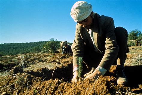 Complex causes underpin undernourishment and malnutrition in the Near East and North Africa