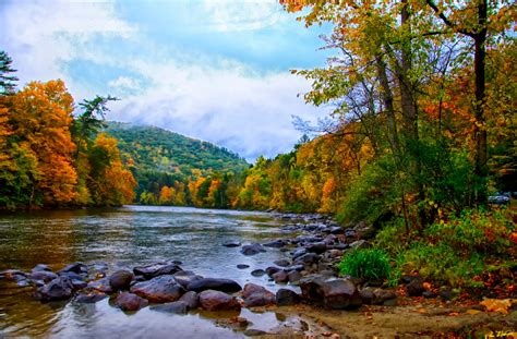 Fondos De Pantalla Árboles Paisaje Bosque Otoño Hojas Lago