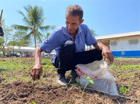 Chamada Pública Para Aquisição De Alimentos Para Merenda Escolar No Ap