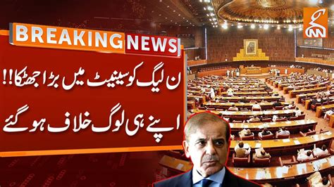 Breaking News Big Shock For The PML N Senator Irfan Siddiqui