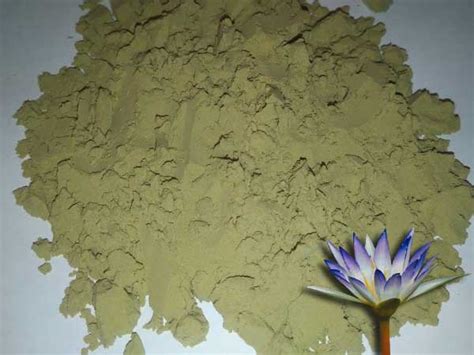 Blue Lotus Extract 20x Powder