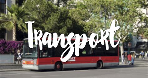 Cómo solicitar el Bono de Transporte Gratuito Más de dos