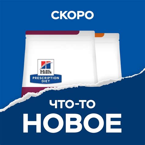 Сообщество «Hill’s Pet Nutrition Russia» ВКонтакте — публичная страница ...