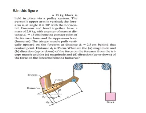 Solved A 15 kg block is held in place via a pulley system. | Chegg.com 