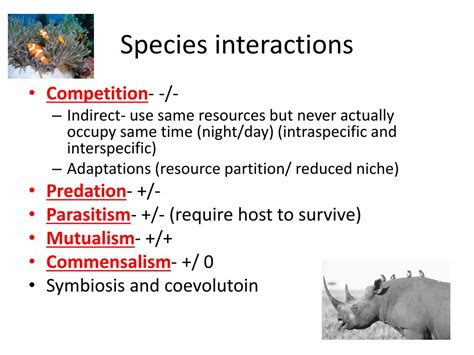 Ppt Understanding Populations Powerpoint Presentation Free Download