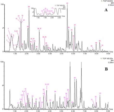 Esi Base Peak Ion Chromatogram Of The Sqw Analysed By Uplcqtof Ms In Download High Quality