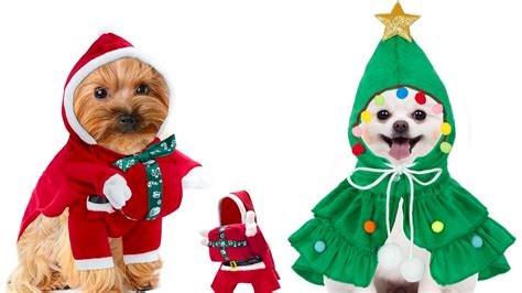 These 15 Cutest Pet Christmas Outfits Are Paws-Itively Perfect | Us Weekly