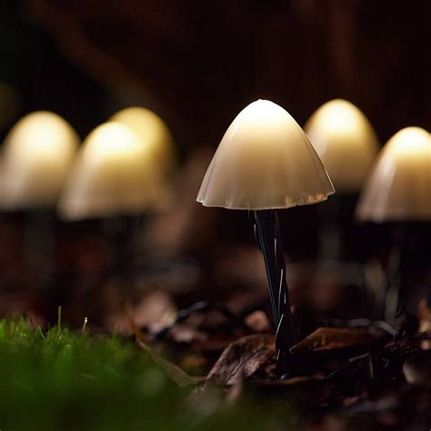 Forest Solar Powered Mushroom Lights 12 Pack