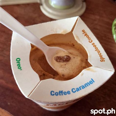 Review New Mcdonalds Speculoos Cookie Mcflurry