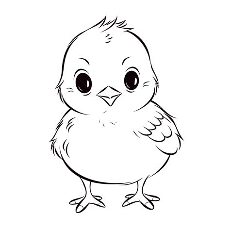 Dibujo De Lindo Pollito Para Colorear Páginas Esquema Boceto Vector PNG