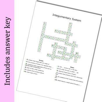 Integumentary System PDF Crossword Puzzle By JayZee TPT