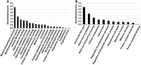 Gene Ontology David Functional Annotation Clustering Fac Analysis Of