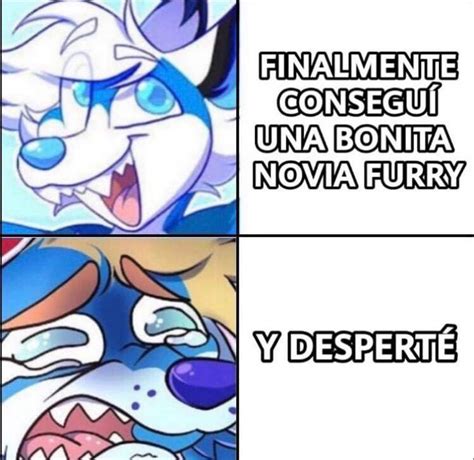 Recopilacion memes Furry Furry Español Amino