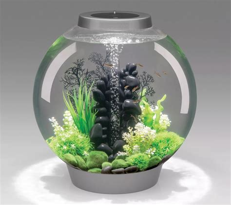 Biorb Classic Aquarium With Standard Light Gallon Qvc