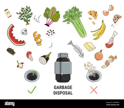 Infographic Of Food Waste Disposer For Home Kitchen Sink With Kitchen