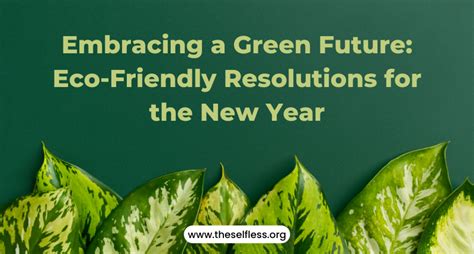 Eco Friendly Resolutions For The New Year 2024 Niswarth