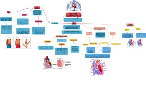 Fisiologia Humana 5 Sistema Cardiovascular