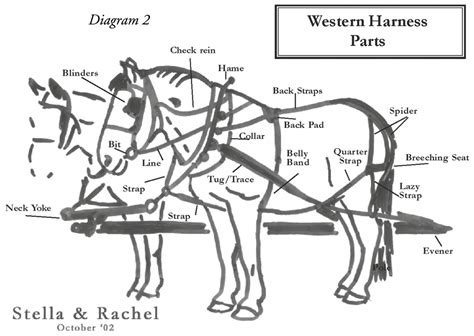 Draft Horse Harness Diagram General Wiring Diagram