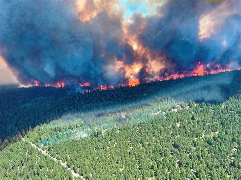 Deaths Surge In Us And Canada From Worst Heatwave On Record Reuters