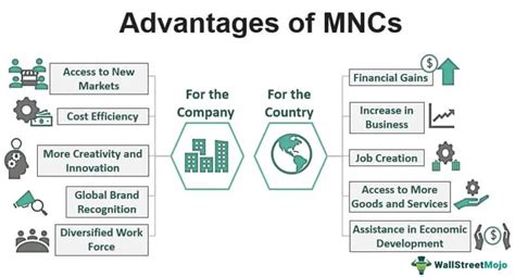 Multinational Corporation Examples