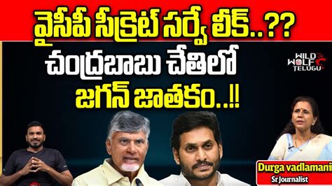 YCP Secret Survey Leaked To Chandrababu CM Jagan TDP Alliance AP