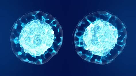 Premium stock video - Cell division, mitosis 3d animation with blue tone