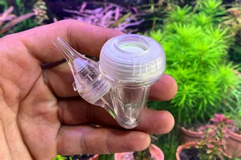 Best CO2 Diffusers For Planted Aquariums Of 2025