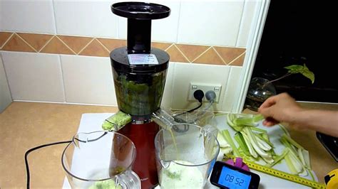 Sharp Slow Juicer EJCP10BJR With Short Celery Sticks YouTube