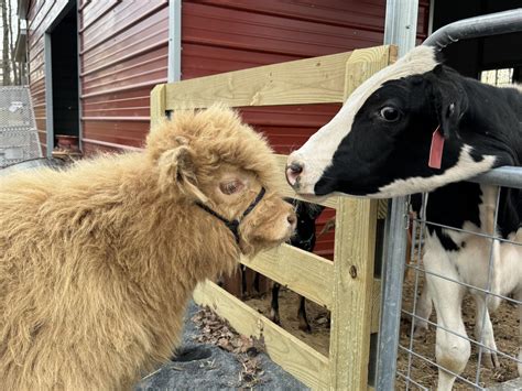 Obituaries In Concord - North Carolina - We are sad to announce that