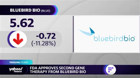 Bluebird Bio Stock Falls After Fda Approves Gene Therapy